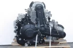 Ducati Monster 797 Engine – 2017